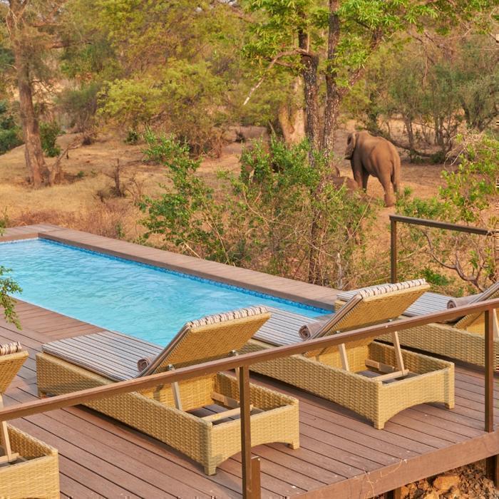  Superior The Wallow Lodge in Africa / Zimbabwe, image_2