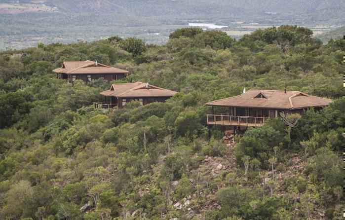  Kariega Game Reserve in South Africa / Eastern Cape, image_2