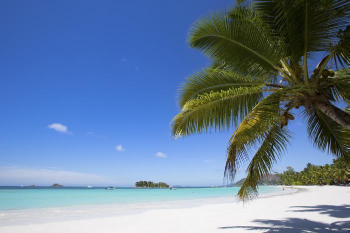  Paradise Sun Hotel in IOI / Seychelles, image_1