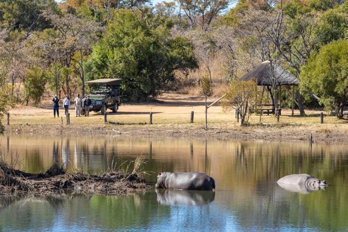  Mabula Game Lodge in South Africa / Limpopo, image_3