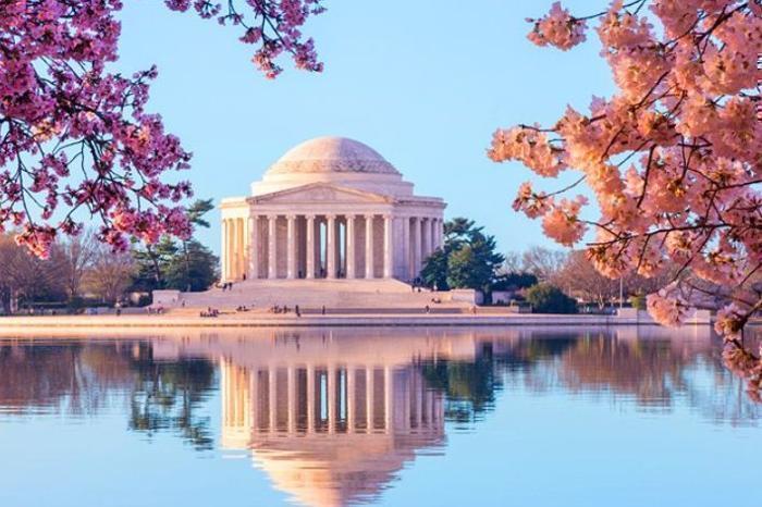 See, Stay & Shop: 5 Nights in Washington DC in North America / USA, image_2