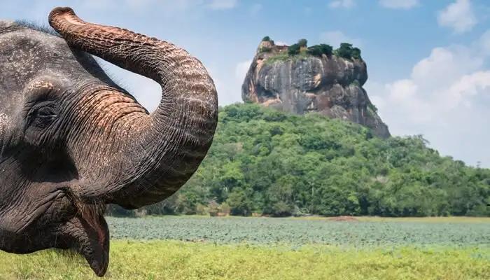 7 Nights, Endless Wonders: Classic Sri Lanka Awaits in Far East / Sri Lanka, image_1