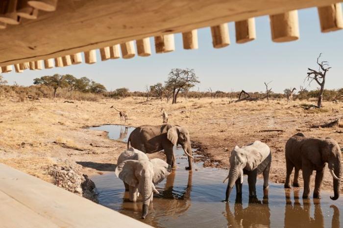  Belmond Savute Elephant Lodge -Chobe National Park Package (3 Nights) in Africa / Botswana, image_3