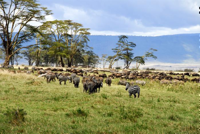 6 Days Northern Safari Circuit in Africa / Tanzania, image_1