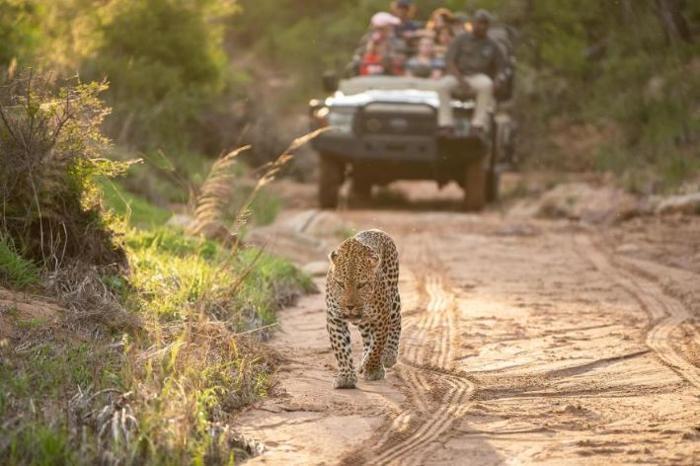  Kapama River Lodge in South Africa / Mpumalanga, image_2
