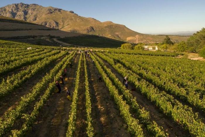  Lanzerac Hotel & Spa in South Africa / Western Cape, image_2