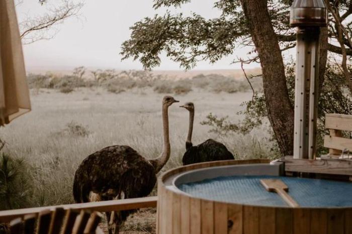 Africamps Waterberg in South Africa / Limpopo, image_3