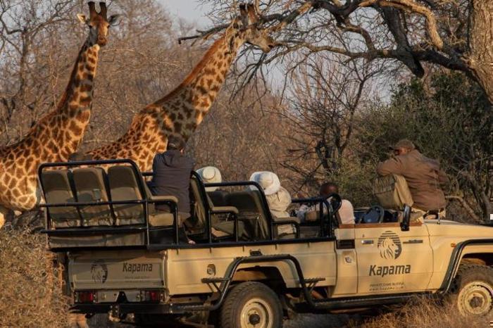  Kapama Private Game Reserve Buffalo Camp in South Africa / Kruger National Park, image_2