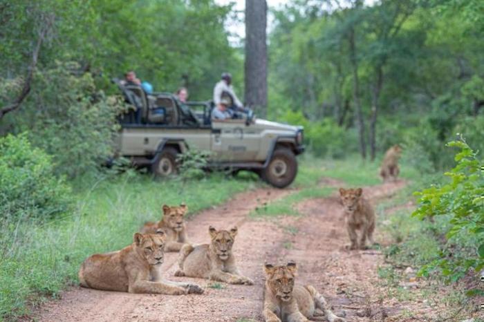  Kapama Private Game Reserve Southern Camp in South Africa / Kruger National Park, image_2