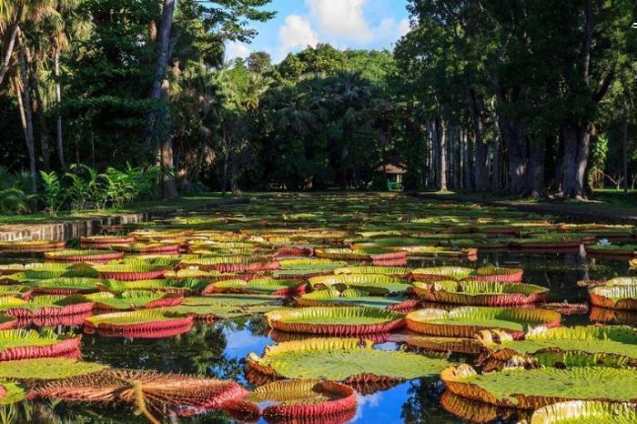 Shared in IOI / Mauritius, image_3