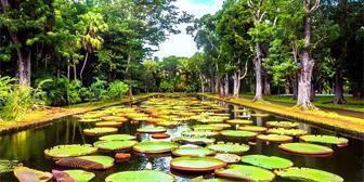 Shared in IOI / Mauritius, image_1