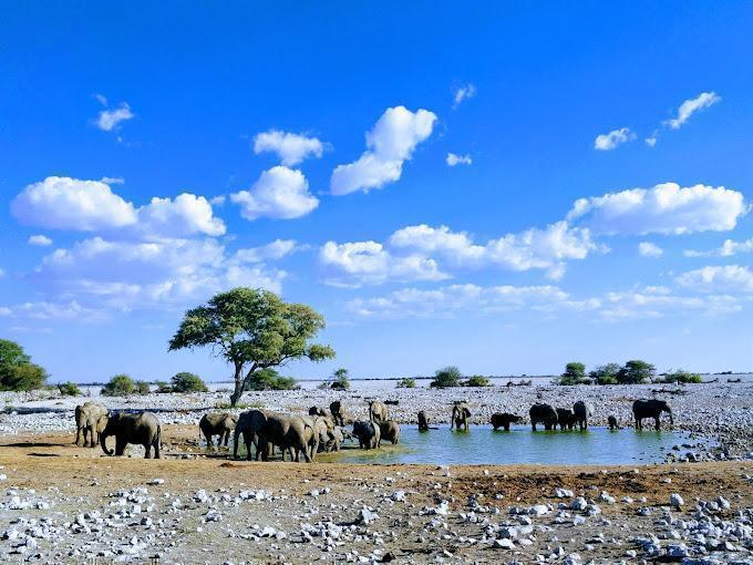 Namibia's Northern Escape Package (4 Nights) in Africa / Namibia, image_3