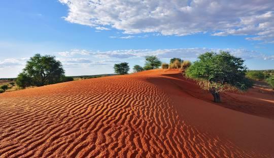 Namib Desert Discovery Package (4 Nights) in Africa / Namibia, image_1