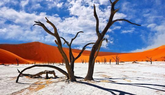 Namib Desert Discovery Package (4 Nights) in Africa / Namibia, image_3