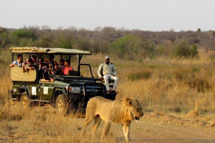  Mongena Private Game Lodge in South Africa / Gauteng, image_3