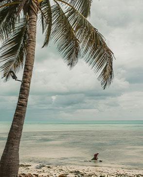  Plus Matemwe Attitude (Adults Only) in IOI / Zanzibar, image_3