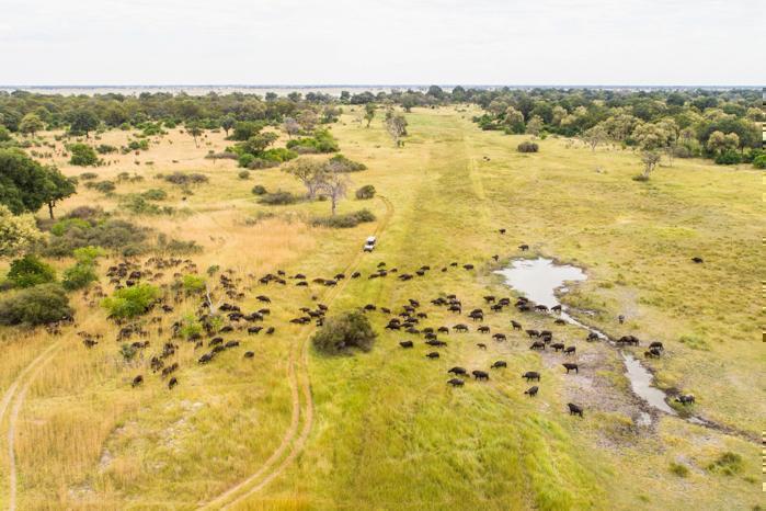 Camp Moremi in Africa / Botswana, image_2