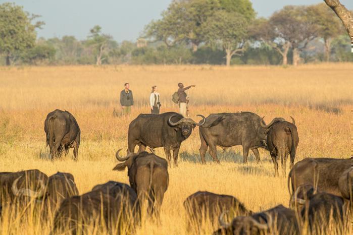 Camp Okavango in Africa / Botswana, image_2