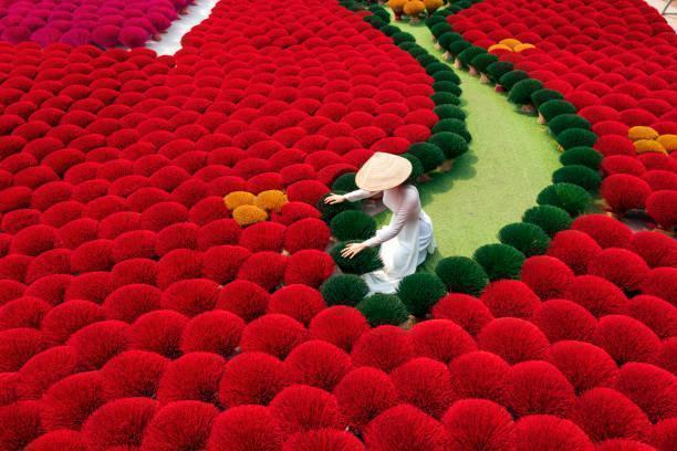 Vietnam Classic North & Central 7 Nights/8 Days in Far East / Vietnam, image_3