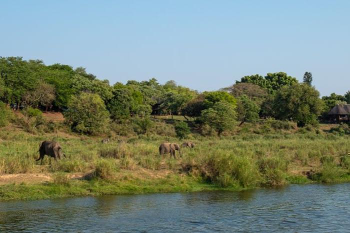 Elephant Walk Tented Camp in South Africa / Kruger National Park, image_2
