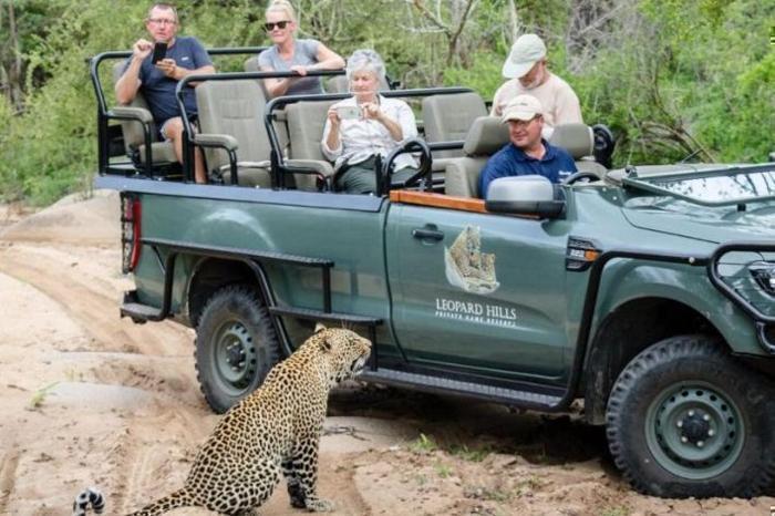  Leopard Hills Private Game Reserve Package (2 Nights) in South Africa / Mpumalanga, image_3