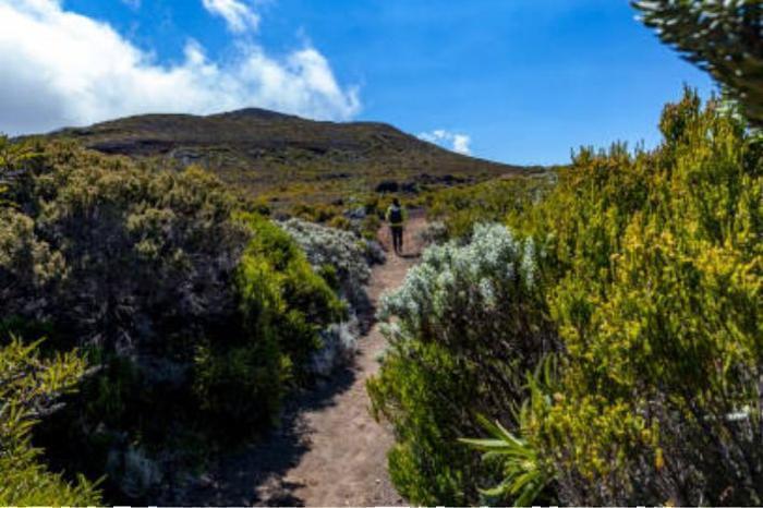 Reunion Highlights Self-Drive Package (6 Nights) in IOI / Reunion, image_3