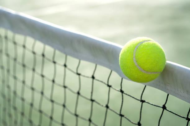 Wimbledon 2026: Day 11 Ladies Singles Semi-Finals Showdown (4 Nights) in Europe / England, image_3