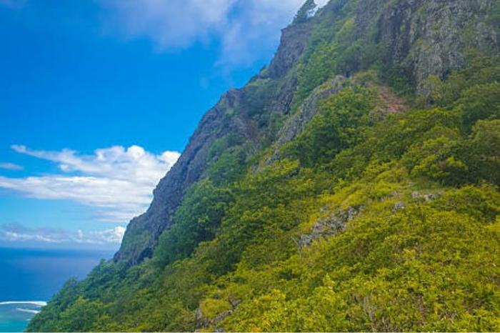 Guided Hike of Le Morne Mountain- Mauritius Adventure in IOI / Mauritius, image_3