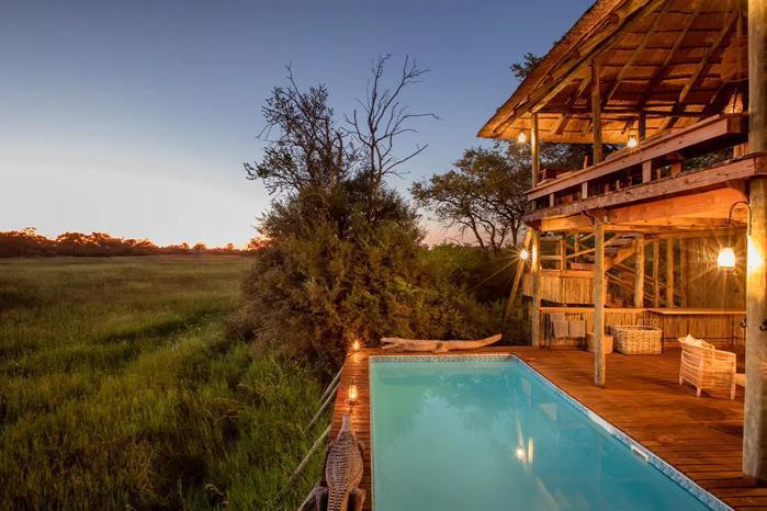 Little Sable in Africa / Botswana, image_2