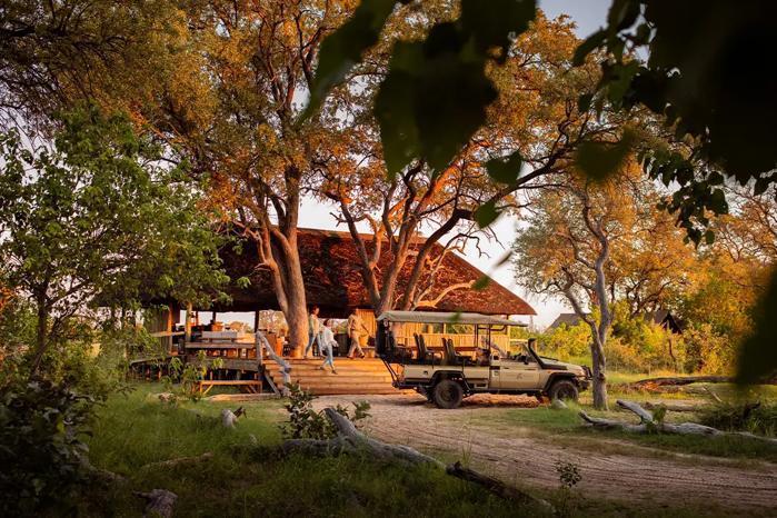 Little Sable in Africa / Botswana, image_1