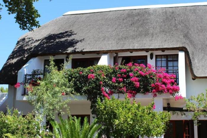  WedgeView Country House & Spa in South Africa / Cape Winelands, image_3