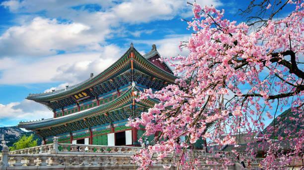 South Korea Panorama Tour 8 Nights/9 Days in Far East / South Korea, image_1