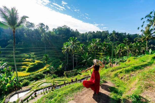Seminyak, Ubud and Tanjung Benoa Experience in Far East / Indonesia, image_2