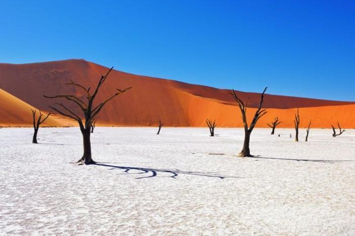 Desert and Sea Escape Package (5 Nights) in Africa / Namibia, image_1