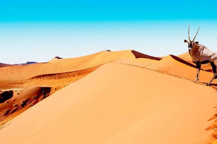 Desert and Canyon Explorer Package (6 Nights) in Africa / Namibia, image_1