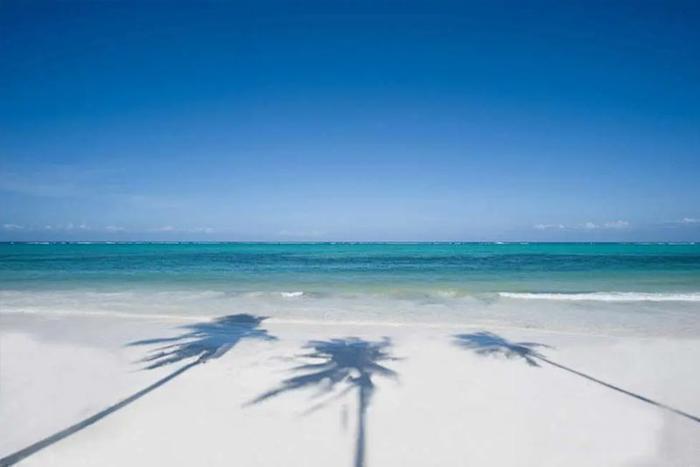The Palms (Adults only) in IOI / Zanzibar, image_2
