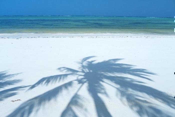 Breezes Beach Club & Spa in IOI / Zanzibar, image_3
