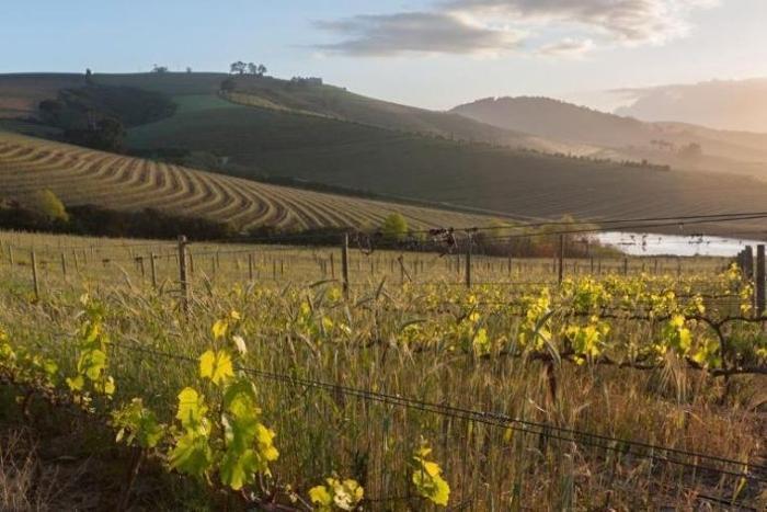 Jordan Wine Estate in South Africa / Cape Winelands, image_1